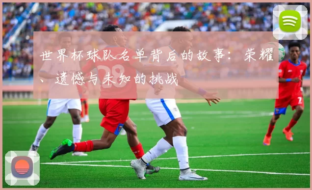 世界杯球队名单背后的故事：荣耀、遗憾与未知的挑战