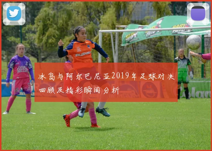 冰岛与阿尔巴尼亚2019年足球对决回顾及精彩瞬间分析