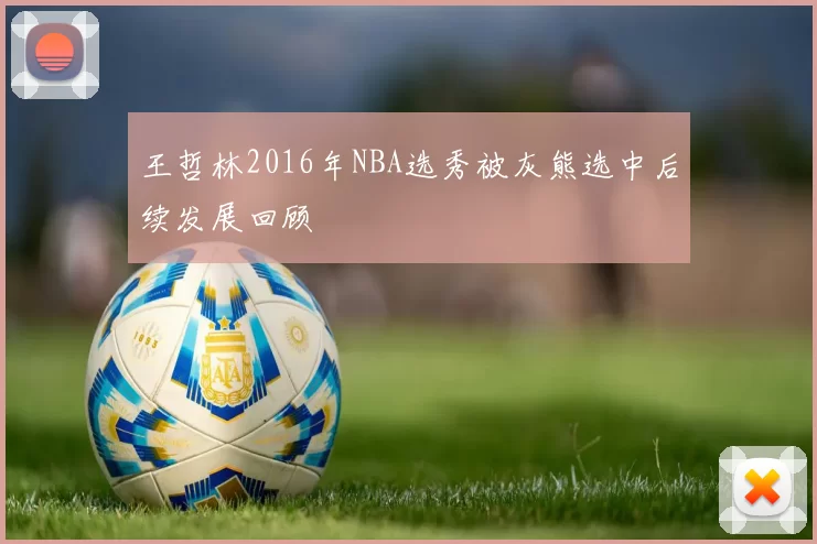 王哲林2016年NBA选秀被灰熊选中后续发展回顾