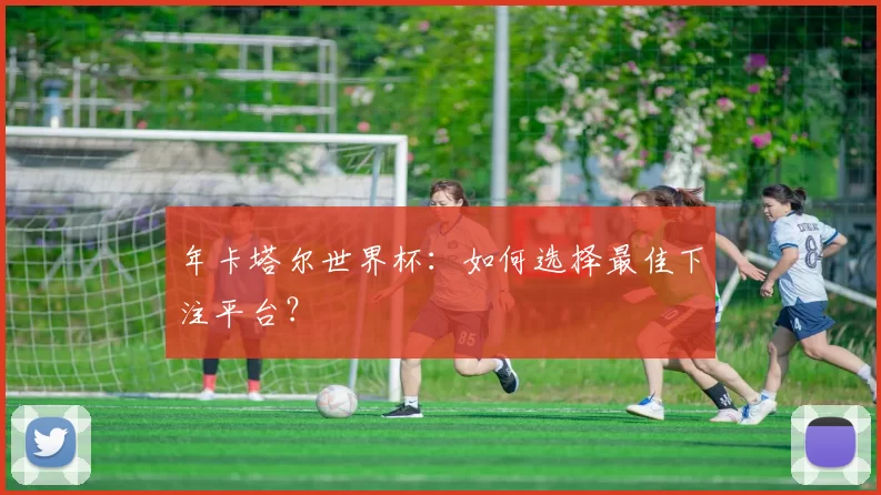 年卡塔尔世界杯：如何选择最佳下注平台？