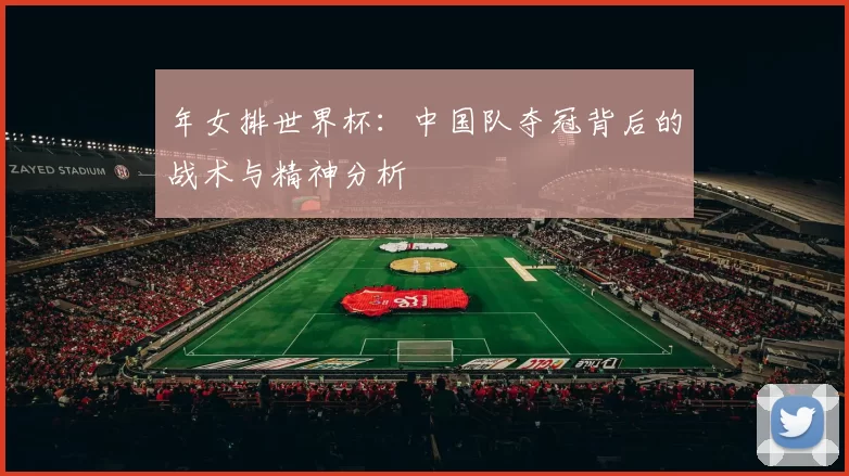 年女排世界杯：中国队夺冠背后的战术与精神分析