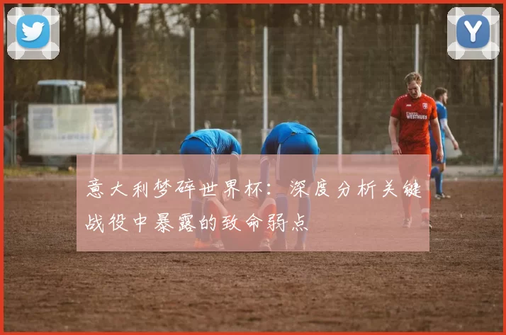 意大利梦碎世界杯：深度分析关键战役中暴露的致命弱点
