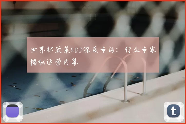 世界杯菠菜app深度专访：行业专家揭秘运营内幕