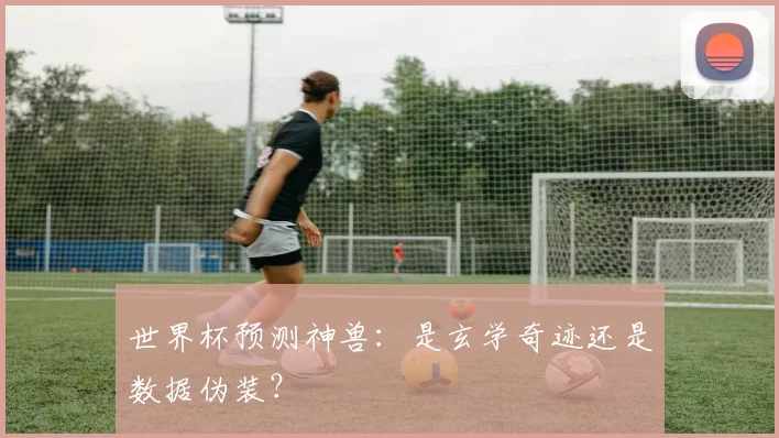 世界杯预测神兽：是玄学奇迹还是数据伪装？