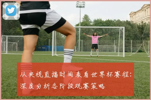 从央视直播时间表看世界杯赛程：深度分析各阶段观赛策略