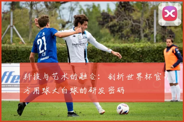科技与艺术的融合：剖析世界杯官方用球大白球的研发密码