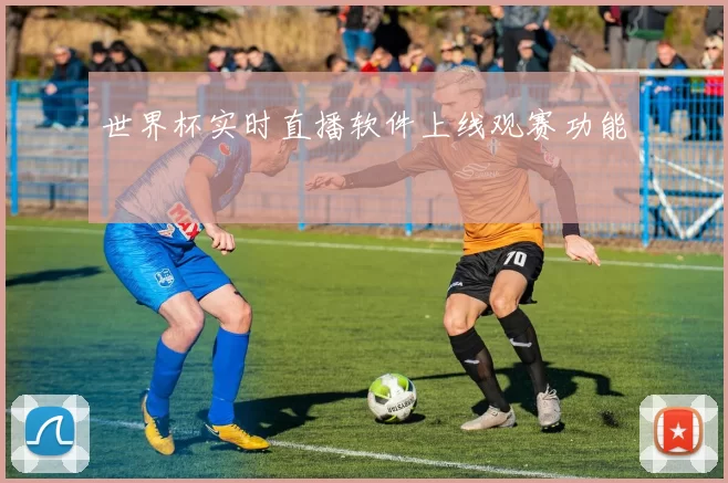世界杯实时直播软件上线观赛功能