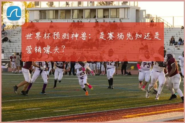 世界杯预测神兽：是赛场先知还是营销噱头？